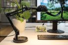 Kanlux E14, IP20, 530 mm, fekete, műanyag/fém asztali lámpa, PIXA