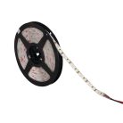 Kanlux 9,6W/m, 12V, 6500K 5m, 60 LED/m IP65, 1040lm/m hideg fehér, kültéri LED szalag, öntapadós